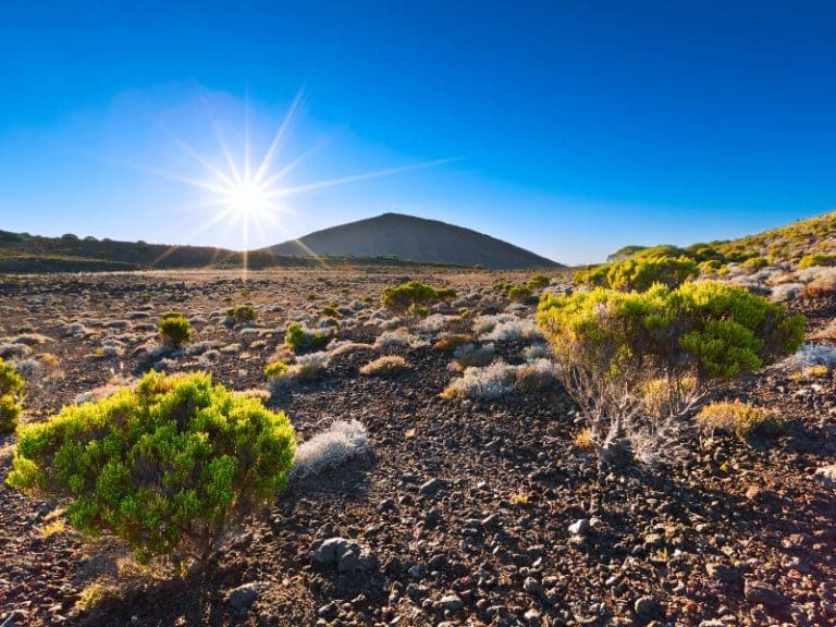 excursion piton de la fournaise 2