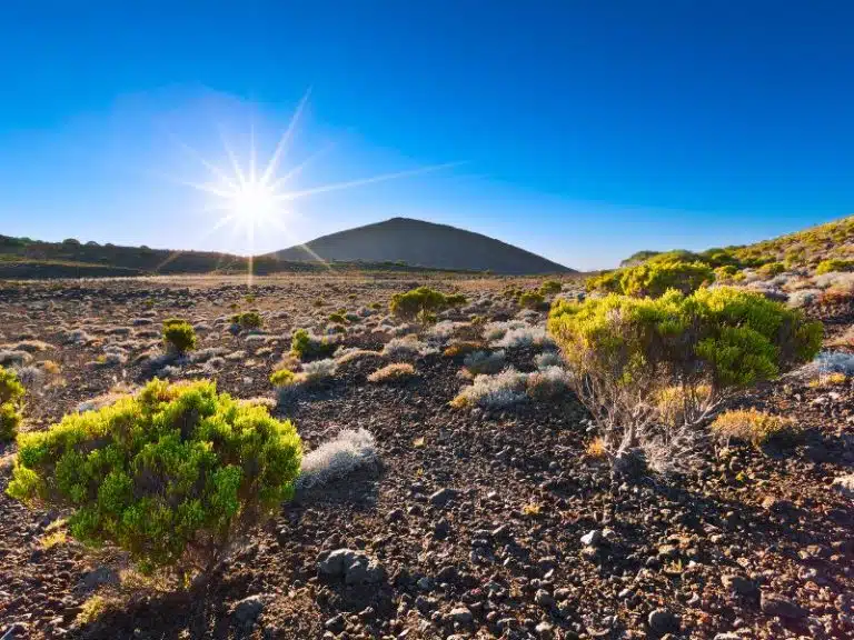 excursion piton de la fournaise 2